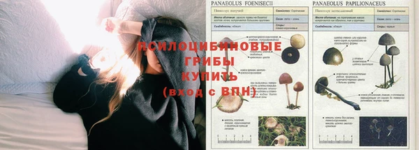 марихуана Алексеевка