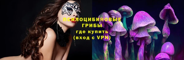 трава Алзамай