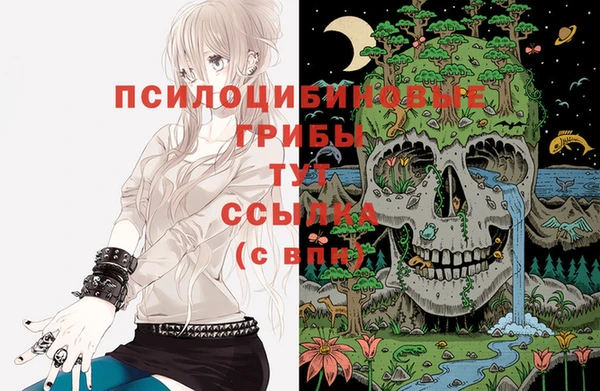 трава Алзамай