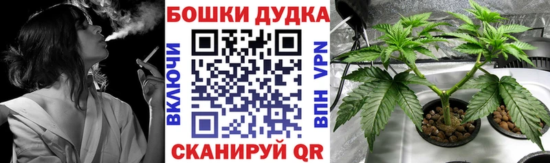 Бошки марихуана THC 21% Неман
